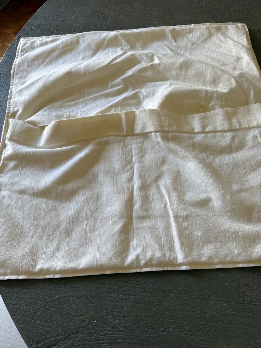 Pottery Barn pink Euro pillow sham